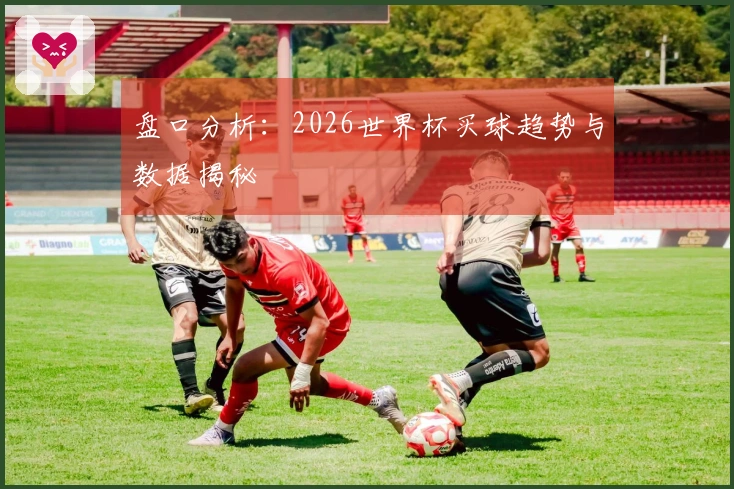 盘口分析：2026世界杯买球趋势与数据揭秘