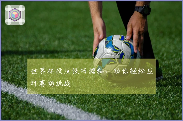 世界杯投注技巧揭秘，助你轻松应对赛场挑战