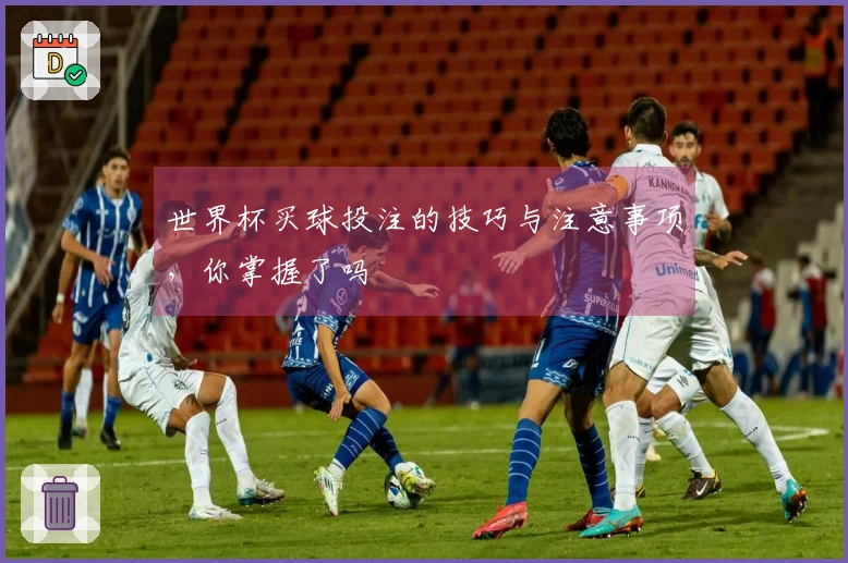世界杯买球投注的技巧与注意事项，你掌握了吗