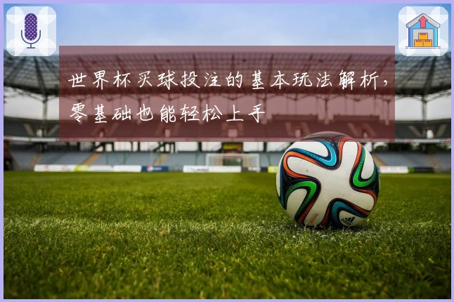 世界杯买球投注的基本玩法解析，零基础也能轻松上手
