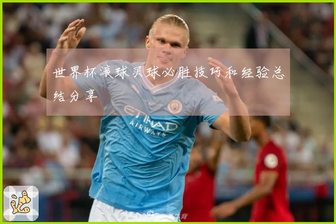 世界杯滚球买球必胜技巧和经验总结分享