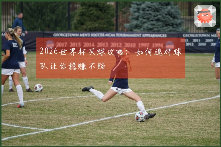 2026世界杯买球攻略：如何选对球队让你稳赚不赔