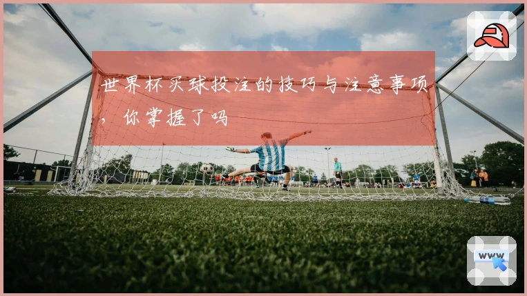 世界杯买球投注的技巧与注意事项，你掌握了吗