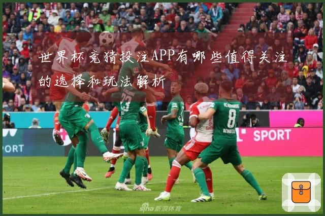 世界杯竞猜投注APP有哪些值得关注的选择和玩法解析