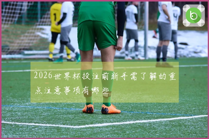 2026世界杯投注前新手需了解的重点注意事项有哪些