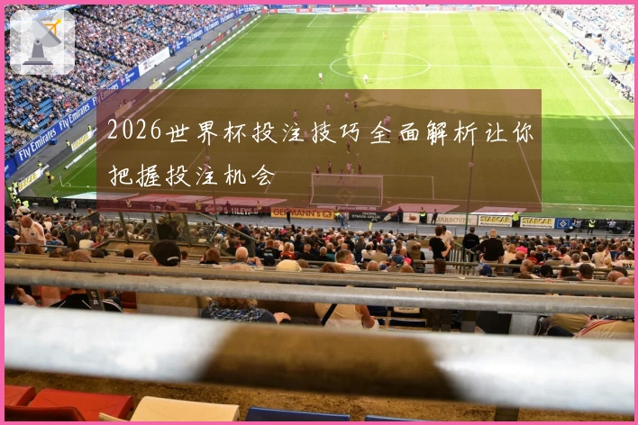 2026世界杯投注技巧全面解析让你把握投注机会