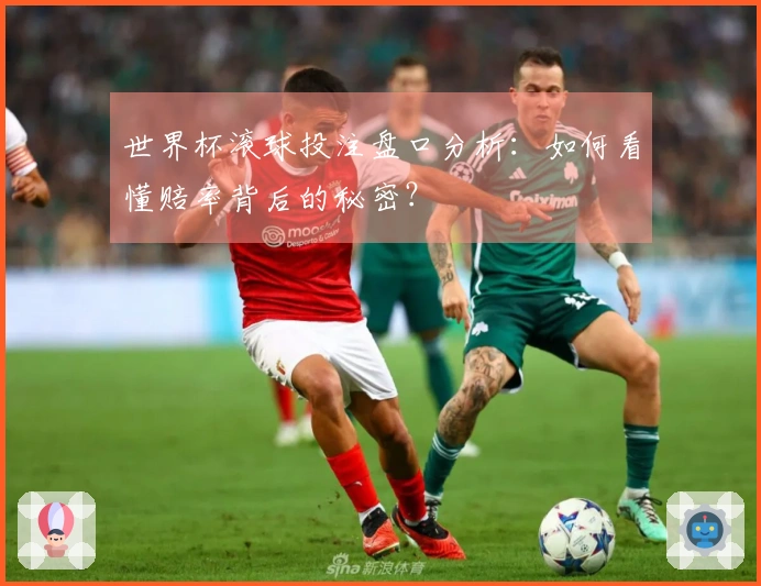 世界杯滚球投注盘口分析：如何看懂赔率背后的秘密？