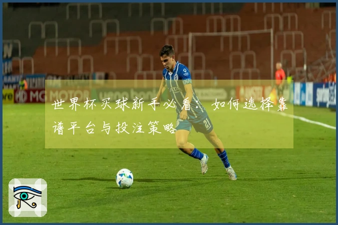 世界杯买球新手必看：如何选择靠谱平台与投注策略