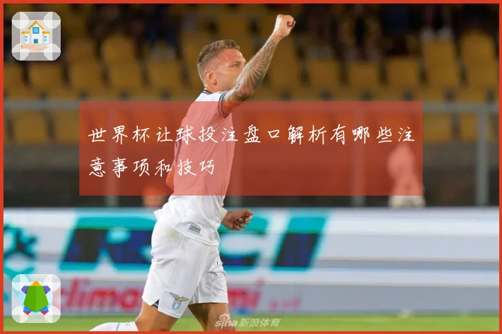 世界杯让球投注盘口解析有哪些注意事项和技巧