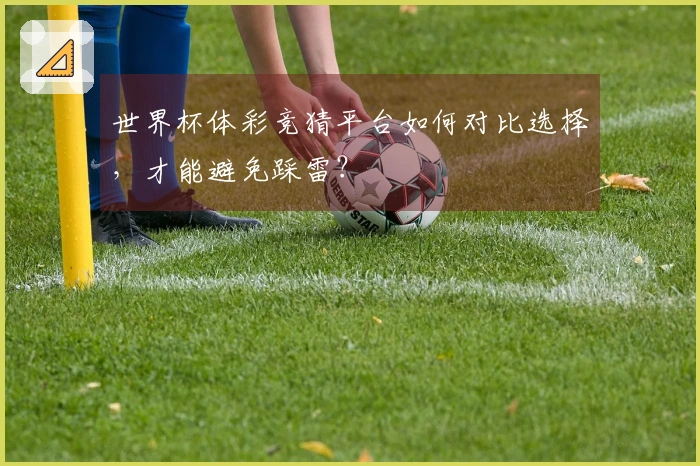 世界杯体彩竞猜平台如何对比选择，才能避免踩雷？