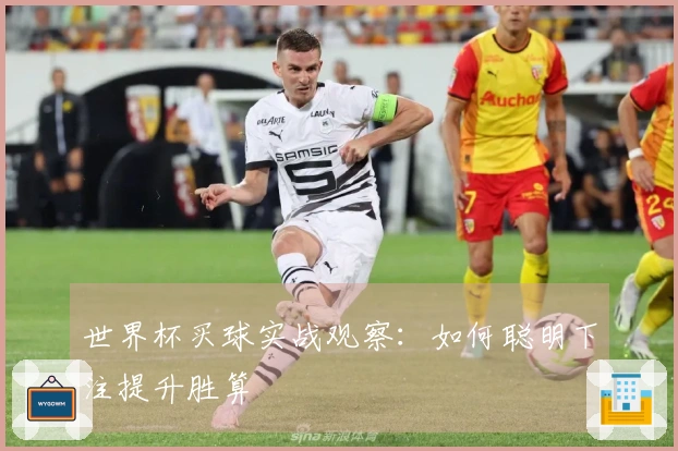 世界杯买球实战观察：如何聪明下注提升胜算