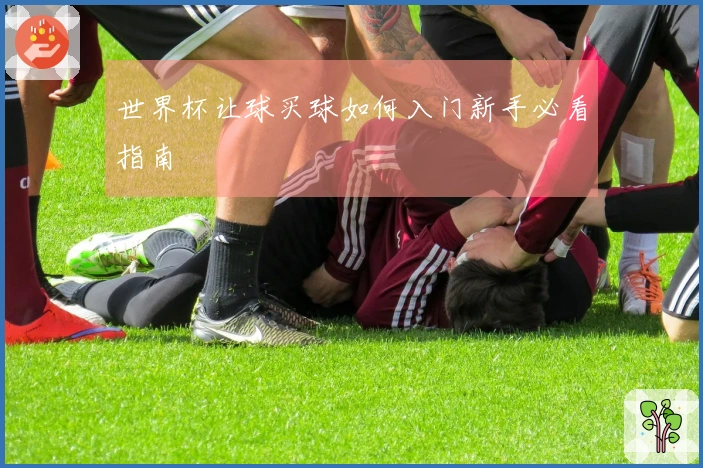世界杯让球买球如何入门新手必看指南