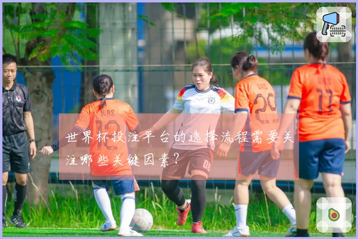 世界杯投注平台的选择流程需要关注哪些关键因素?