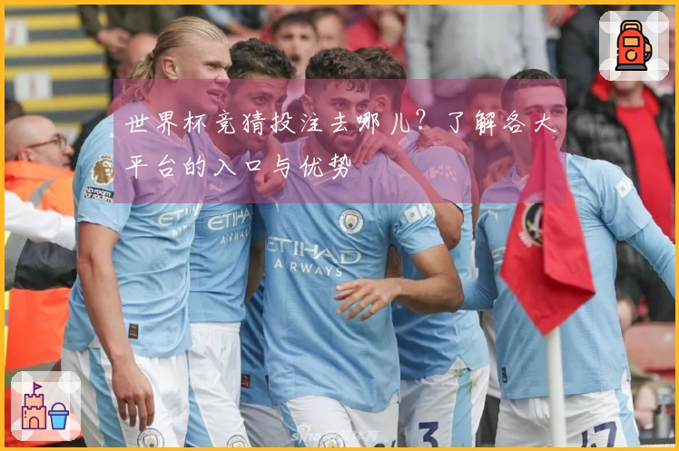 世界杯竞猜投注去哪儿？了解各大平台的入口与优势