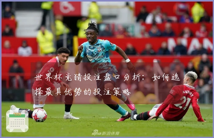 世界杯竞猜投注盘口分析：如何选择最具优势的投注策略