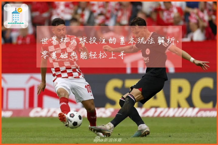 世界杯买球投注的基本玩法解析，零基础也能轻松上手