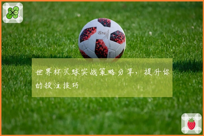 世界杯买球实战策略分享，提升你的投注技巧