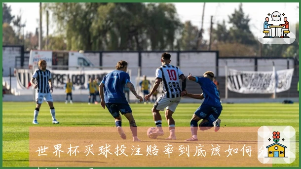 世界杯买球投注赔率到底该如何分析和利用