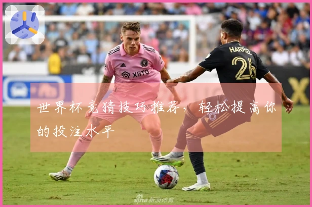 世界杯竞猜技巧推荐，轻松提高你的投注水平
