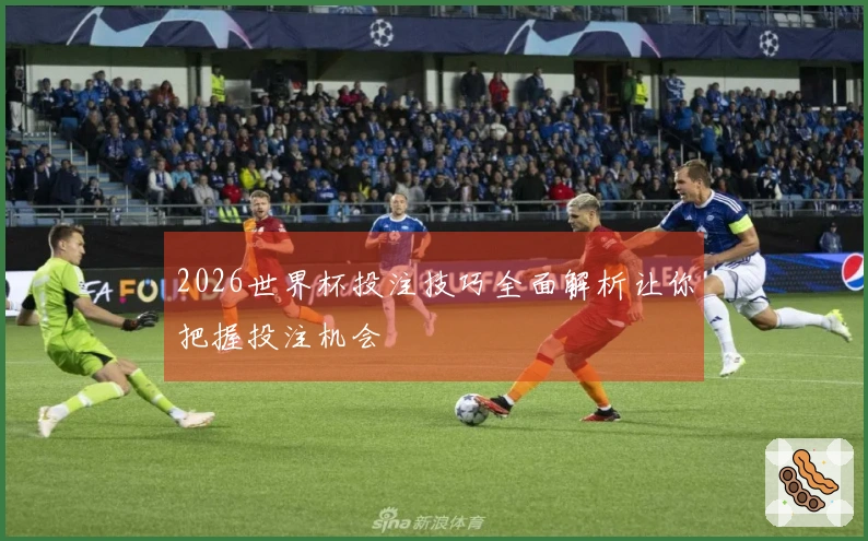 2026世界杯投注技巧全面解析让你把握投注机会