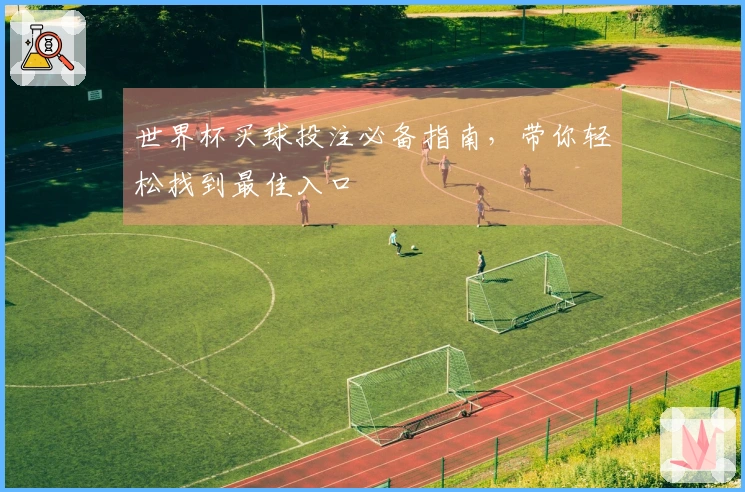 世界杯买球投注必备指南，带你轻松找到最佳入口