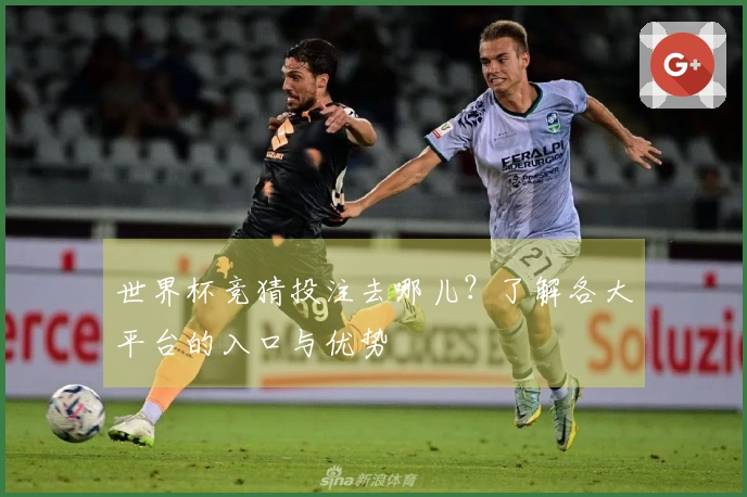 世界杯竞猜投注去哪儿？了解各大平台的入口与优势