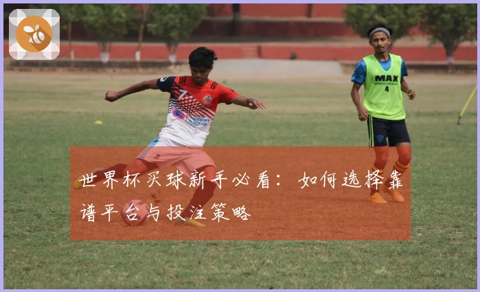 世界杯买球新手必看：如何选择靠谱平台与投注策略
