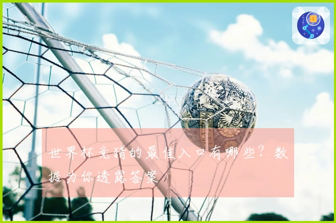 世界杯竞猜的最佳入口有哪些?数据为你透露答案