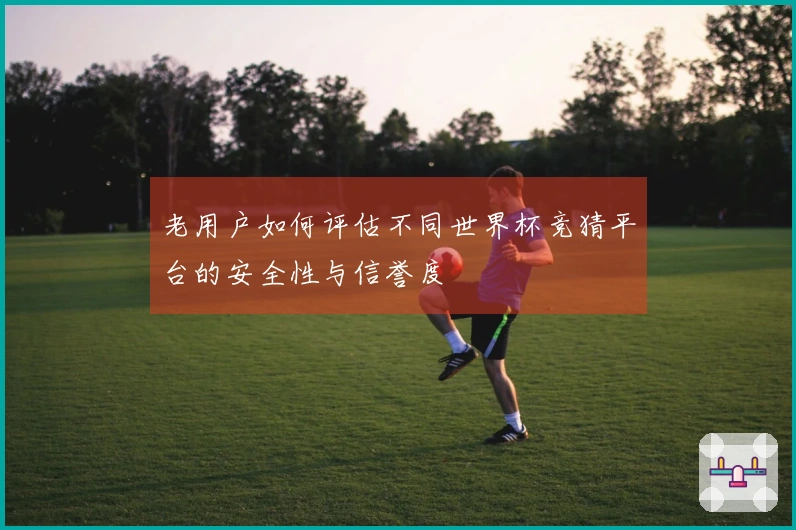 老用户如何评估不同世界杯竞猜平台的安全性与信誉度