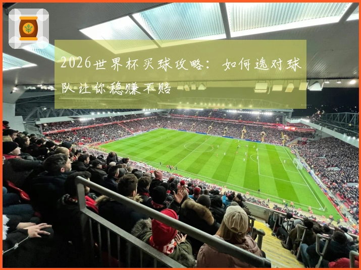 2026世界杯买球攻略：如何选对球队让你稳赚不赔