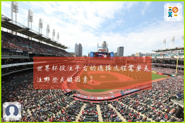 世界杯投注平台的选择流程需要关注哪些关键因素？